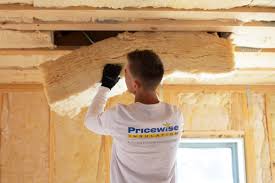 Best Soundproof Insulation  in Frisco, TX